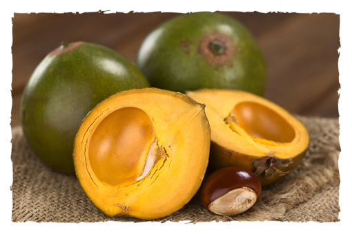 Lucuma